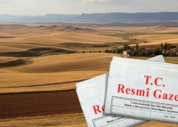 Araziler tapulaşıyor! Resmi Gazetede yayımlandı