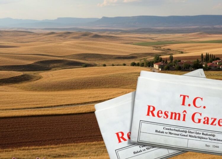 Araziler tapulaşıyor! Resmi Gazetede yayımlandı