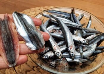 Balık temizlemenin en pratik yöntemi açıklandı