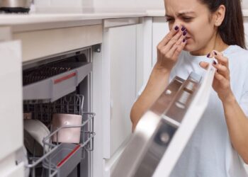 Bulaşık makinesi kötü kokuyorsa sorun deterjanda değil
