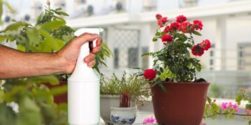 Çiçeklerin kışın donmamasını sağlayan pratik yöntem açıklandı