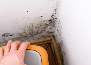 Evinizdeki Küfün Sebebi Oymuş! Hemen Kaldırın