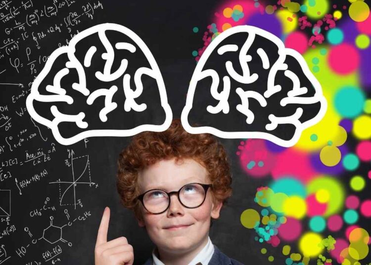 En zeki yaşı bilim insanları açıkladı! Beynimiz zirve yapıyor